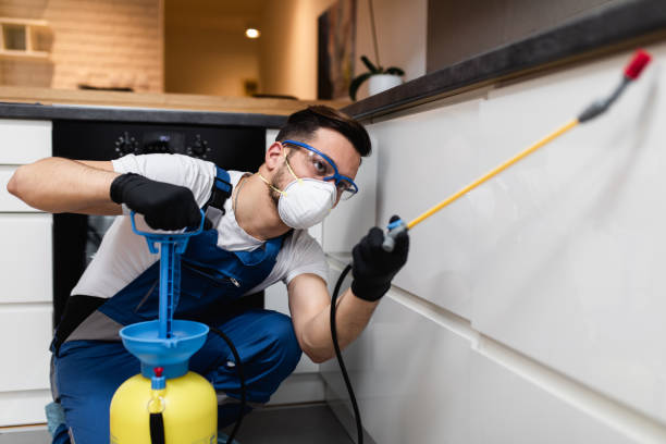 Best Emergency Pest Control  in Addison, IL
