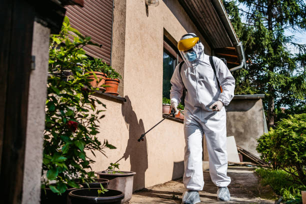 Reliable Addison, IL Pest Control Solutions