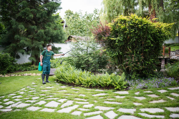 Best Wasp Removal Services  in Addison, IL