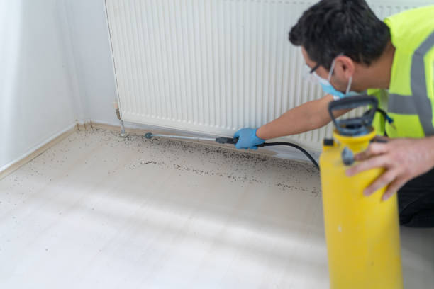 Best Affordable Pest Control Services  in Addison, IL