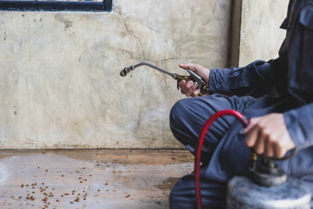 Best Best Pest Control Near Me  in Addison, IL